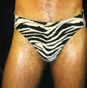 Hunx - Gay Singles