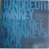 12'' - Hundredth Monkey - Water Off A Monkeys Back / Firechaser