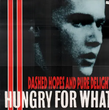 Hungry For What - Dashed Hopes And Pure Delight
