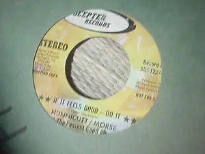 Hunnicutt / Morse & The Fastest Band Alive - If It Feels Good - Do It