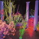 CD - Hüsker Dü - Warehouse: Songs And Stories