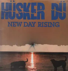 Hüsker Dü - New Day Rising