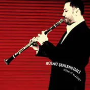 Hüsnü Senlendirici