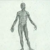 Hugh Mane - Spectra Sonics