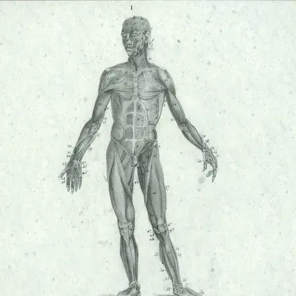 Hugh Mane - Spectra Sonics