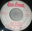 7inch Vinyl Single - Hugh X. Lewis - What Can I Do (To Make You Love Me)