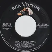 Hugo Winterhalter's Orchestra And Chorus - Crazy Little Tune