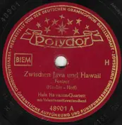 Hula Hawaiian Quartett - Zwischen Java Und Hawaii / Steig' Ins Blaue Boot