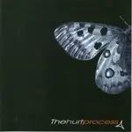 The Hurt Process - The Last Goodbye