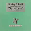 12inch Vinyl Single - Hurley & Todd - Sunstorm