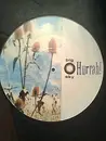 Picture LP - Hurrah! - Big Sky - picture disc