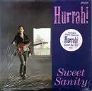 7inch Vinyl Single - Hurrah! - Sweet Sanity