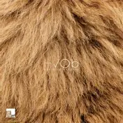 Hvob - Lion
