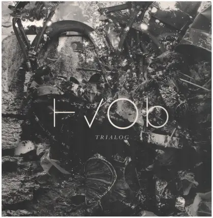 Hvob - Trialog