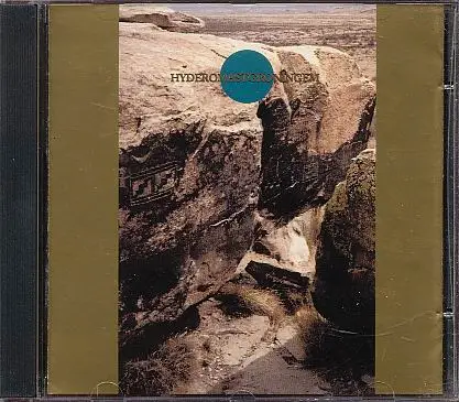 Ruins - Hyderomastgroningem