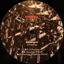 12inch Vinyl Single - Hydergine - Entheology
