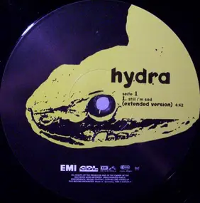 Andy Laster's Hydra - Still I'm Sad