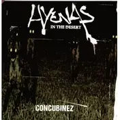 Hyenas in the Desert - Concubinez