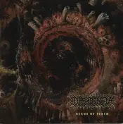 Hyperdontia - Nexus Of Teeth