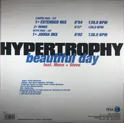 12inch Vinyl Single - Hypertrophy - Beautiful Day