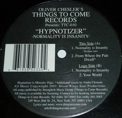 Hypnotizer - NORMALITY IS INSANITY