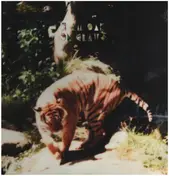 i am oak - On Claws
