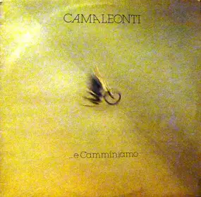 I Camaleonti - ...E Camminiamo