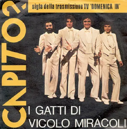 I Gatti Di Vicolo Miracoli - Capito?