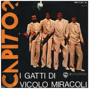 7inch Vinyl Single - I Gatti Di Vicolo Miracoli - Capito? (Version Chantals)
