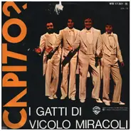 I Gatti Di Vicolo Miracoli - Capito? (Version Chantals)