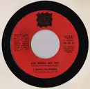 7inch Vinyl Single - I Santo California / Suan - Ave Maria No! No! / Donna Libera
