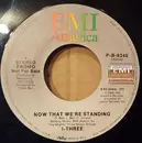 7inch Vinyl Single - I Threes - Now That We're Standing