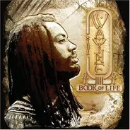 I Wayne - Book of Life