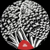 I. A. Bericochea - Wake Up