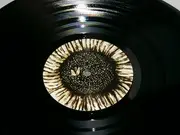 LP - Icos - Walk With Me - Insert