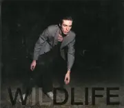 CD - Icarus Line - Wildlife