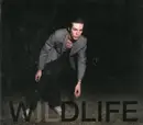 CD - Icarus Line - Wildlife