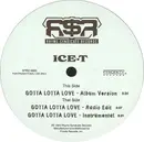 12'' - Ice-T - Gotta Lotta Love