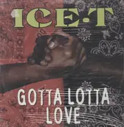Ice-T - Gotta Lotta Love