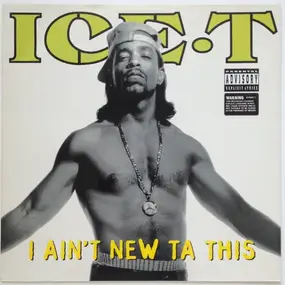 Ice-T - I Ain't New Ta This