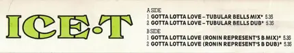 Ice-T - Gotta Lotta Love