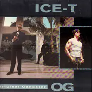 Ice-T - O.G. Original Gangster