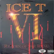 Ice-T - VI: Return of the Real