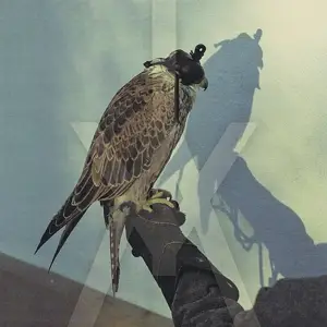 ICEAGE - You're Nothing
