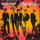 12inch Vinyl Single - Icehouse - Touch The Fire