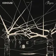 Icehouse - Icehouse Plays Flowers