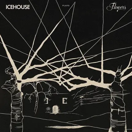 Icehouse - Icehouse Plays Flowers