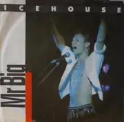 7inch Vinyl Single - Icehouse - Mr Big