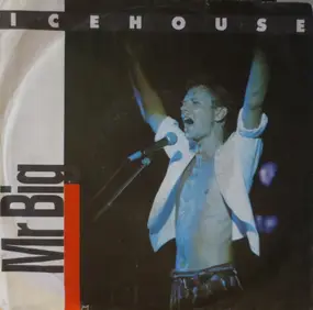 Icehouse - Mr Big