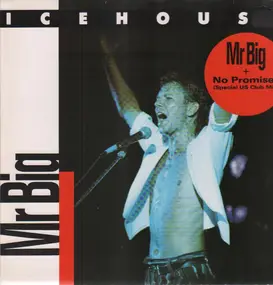 Icehouse - Mr. Big / + No Promises (Special US Club Mix)